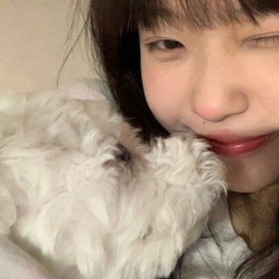 宠物小精灵变态修改版下载